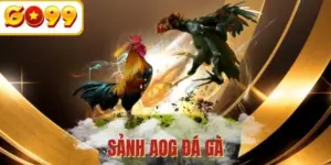 AOG đá gà - Sảnh tranh tài chất lượng 5 sao cho mọi kê thủ