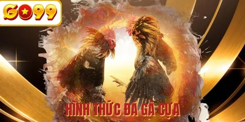 Hình thức đấu cựa online