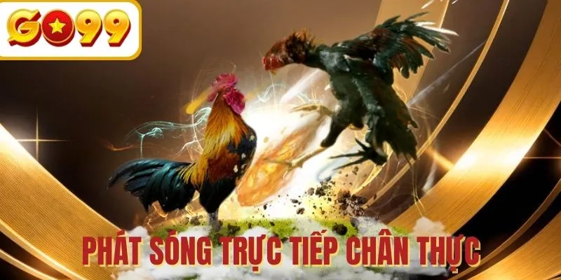 Sân chơi trực tiếp sống động và chân thực nhất