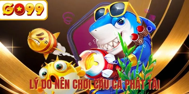 Lý do bạn nên chọn TP Câu Cá Phát Tài